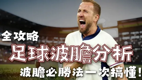 绿茵守望者夜幕降临